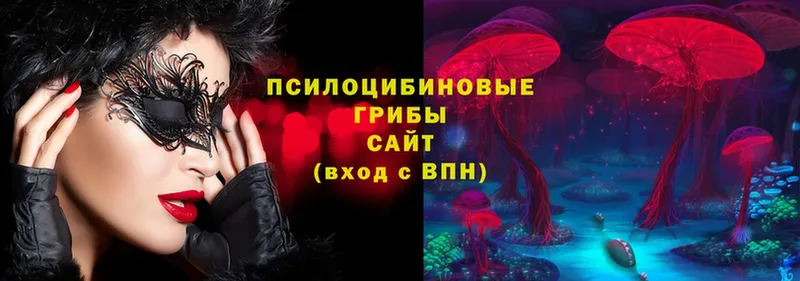 закладки  Отрадное  Галлюциногенные грибы MAGIC MUSHROOMS 